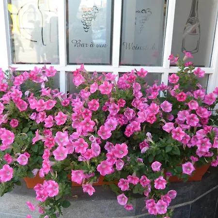 Croonhof 3*
